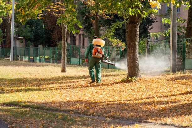 Best Pest Control for Homes  in Russells Point, OH